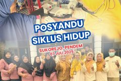 Posyandu Siklus Hidup