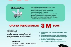 DBD (Demam Berdarah Dengue)